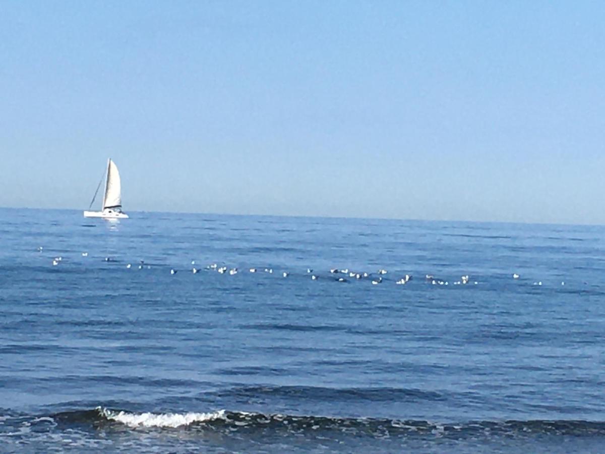 La Mouette Bleue Maison De Ville Individuelle Et Climatisee Мартиг Екстериор снимка